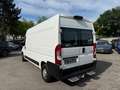 Peugeot Boxer Kasten Hochraum 335Pro Avantage Edit*KLIMA Weiß - thumbnail 7
