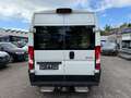 Peugeot Boxer Kasten Hochraum 335Pro Avantage Edit*KLIMA Weiß - thumbnail 6