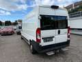 Peugeot Boxer Kasten Hochraum 335Pro Avantage Edit*KLIMA Weiß - thumbnail 5