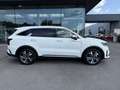 Kia Sorento 1.6 T AWD Pace Weiß - thumbnail 3