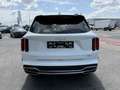 Kia Sorento 1.6 T AWD Pace Weiß - thumbnail 25