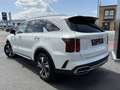 Kia Sorento 1.6 T AWD Pace Weiß - thumbnail 2