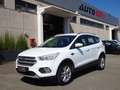 Ford Kuga Kuga 1.5 tdci Plus s&s Wit - thumbnail 1