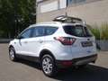 Ford Kuga Kuga 1.5 tdci Plus s&s Wit - thumbnail 5