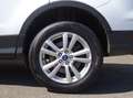 Ford Kuga Kuga 1.5 tdci Plus s&s Wit - thumbnail 14