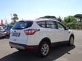 Ford Kuga Kuga 1.5 tdci Plus s&s Wit - thumbnail 7