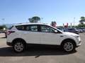 Ford Kuga Kuga 1.5 tdci Plus s&s Wit - thumbnail 4