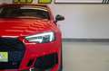 Audi RS4 AV 2.9 TFSI QUATTRO KERAMIK*MATRIX*HUD*CARBON Rouge - thumbnail 10