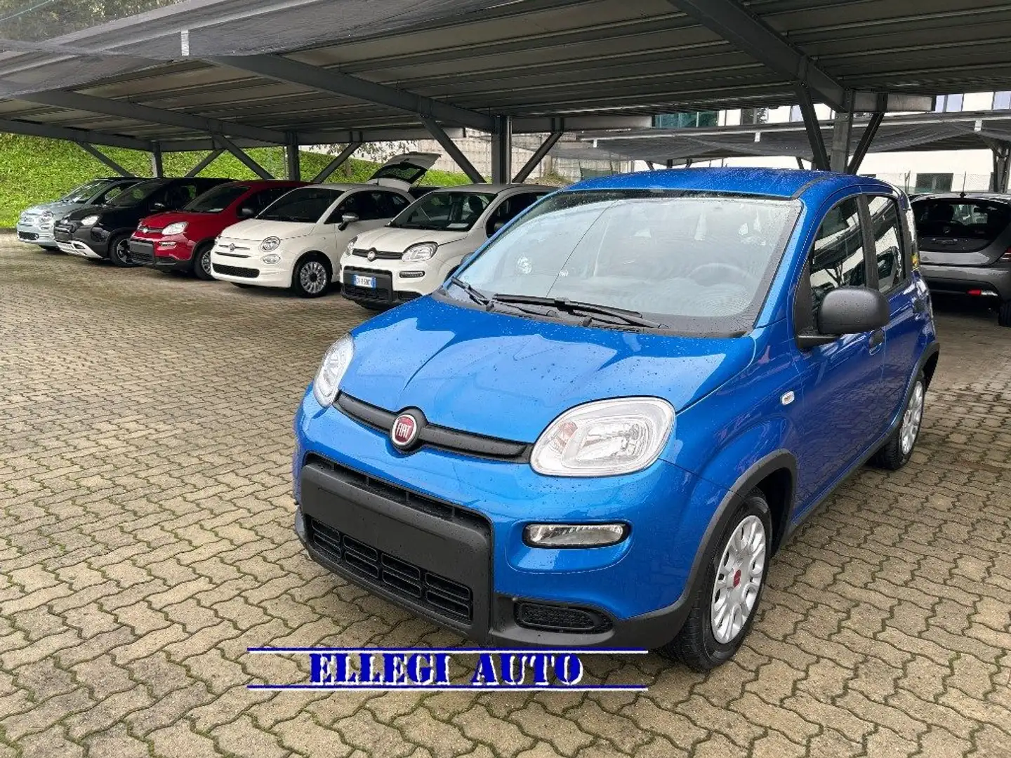 Fiat Panda PROMO FIN 1.0  Hybrid+SED REG H+SENSORI+RADIO  KM0 Azul - 1