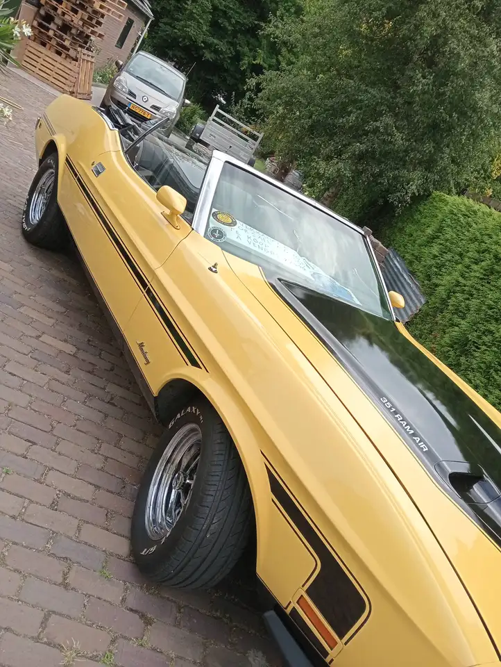 Ford Mustang 302, foto 11