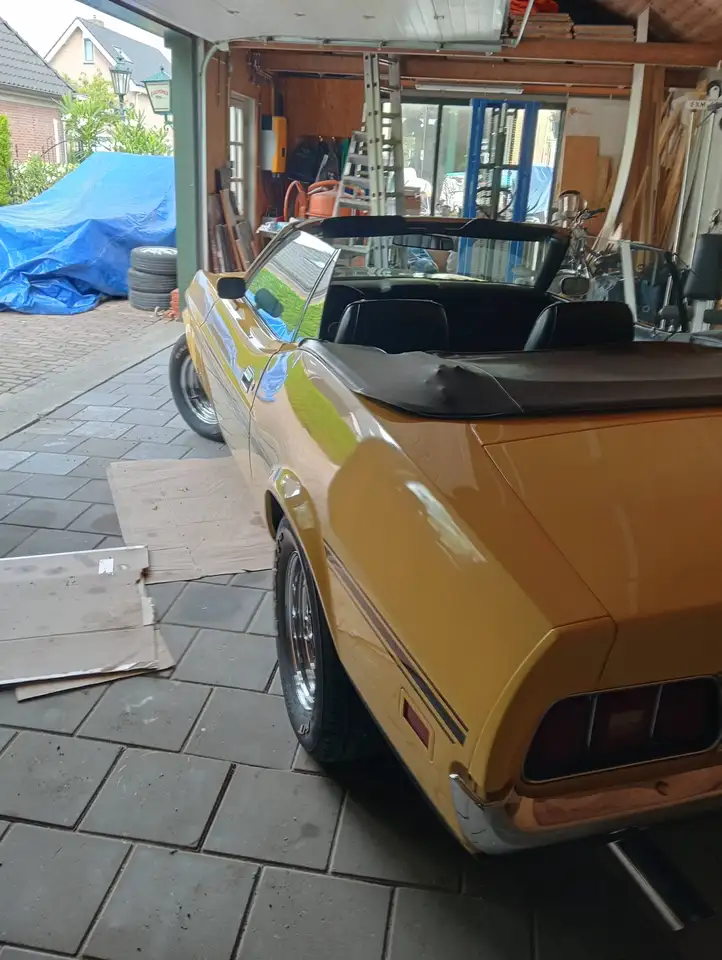 Ford Mustang 302, foto 6