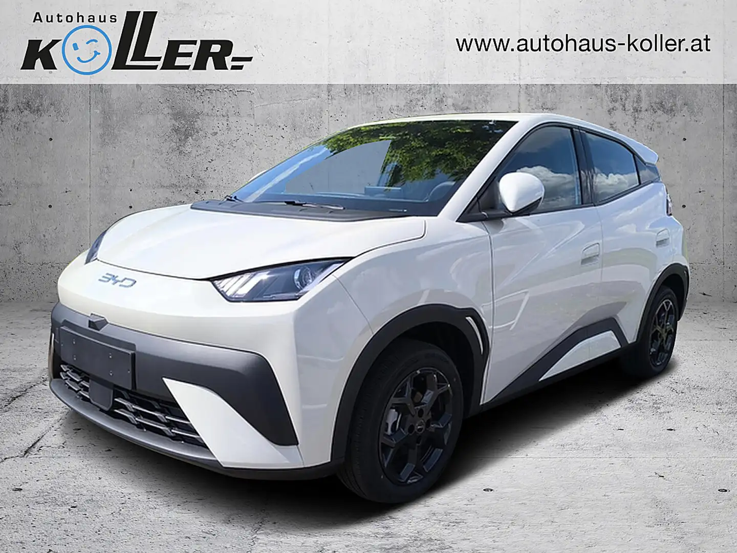 BYD Dolphin Surf 43,2 kWh Boost Österreich Paket Weiß - 1