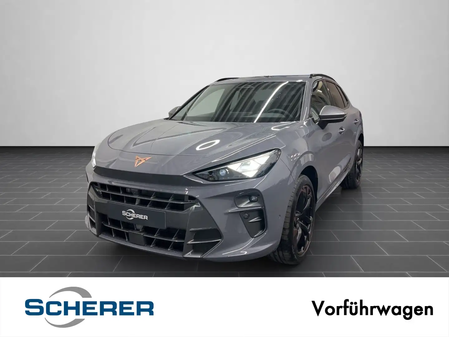 CUPRA Terramar VZ 2.0 TSI 195 kW (265 PS) 7-Gang DSG 4 Grau - 1