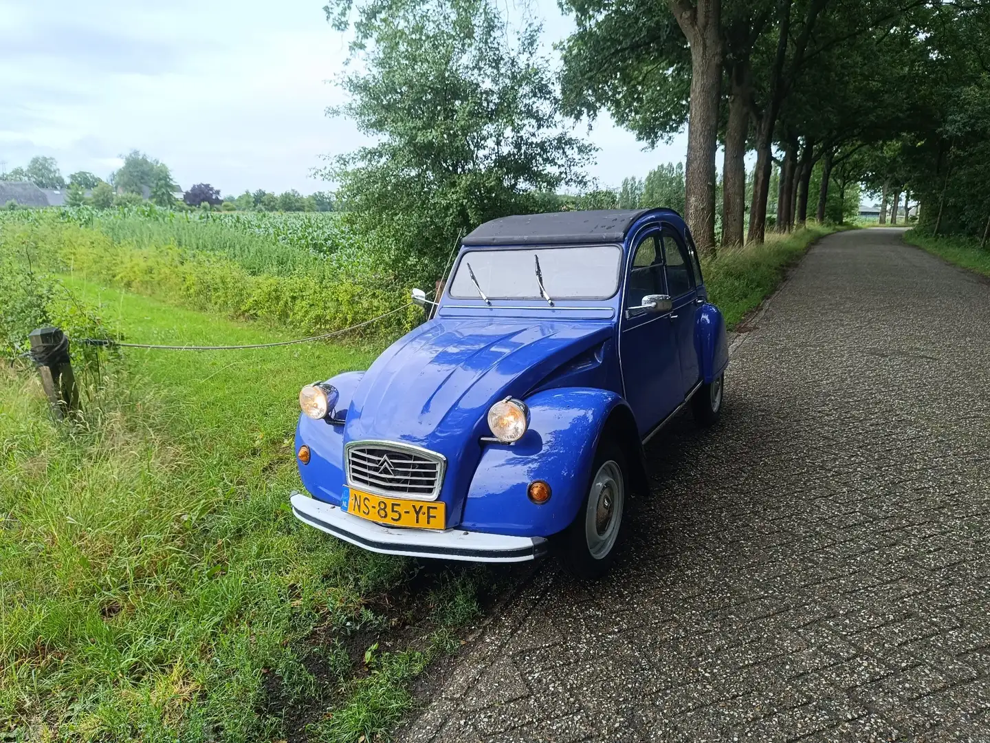 Citroen 2CV 2CV6 Special Bleu - 1