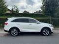 Kia Sorento 2.2 Automaat, Leer, Panodak,trekhaak Alb - thumbnail 5