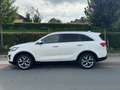 Kia Sorento 2.2 Automaat, Leer, Panodak,trekhaak Alb - thumbnail 3