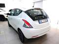 Lancia Ypsilon 1.0 HYBRID 70cv GOLD - 5° POSTO Bianco - thumbnail 12
