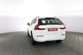 Volvo XC60 XC60 B4 (d) AWD Geartronic Momentum Pro Bianco - thumbnail 5