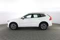 Volvo XC60 XC60 B4 (d) AWD Geartronic Momentum Pro Bianco - thumbnail 6