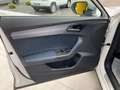 CUPRA Formentor 1.4 e-Hybrid DSG Bianco - thumbnail 15