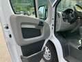 Fiat Ducato 2.3 GASOL 120CV CASSONATO MOTORE RIFATTO Bianco - thumbnail 9