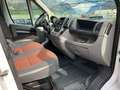 Fiat Ducato 2.3 GASOL 120CV CASSONATO MOTORE RIFATTO Bianco - thumbnail 8