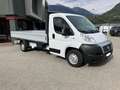 Fiat Ducato 2.3 GASOL 120CV CASSONATO MOTORE RIFATTO Bianco - thumbnail 3