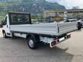 Fiat Ducato 2.3 GASOL 120CV CASSONATO MOTORE RIFATTO Bianco - thumbnail 4