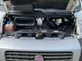 Fiat Ducato 2.3 GASOL 120CV CASSONATO MOTORE RIFATTO Bianco - thumbnail 10