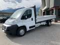 Fiat Ducato 2.3 GASOL 120CV CASSONATO MOTORE RIFATTO Bianco - thumbnail 2
