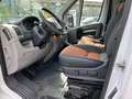Fiat Ducato 2.3 GASOL 120CV CASSONATO MOTORE RIFATTO Bianco - thumbnail 6