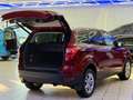 Ford Kuga Titanium-1.Hand 4AWD-Panorama-Automatik Rood - thumbnail 3