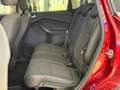 Ford Kuga Titanium-1.Hand 4AWD-Panorama-Automatik Rood - thumbnail 17