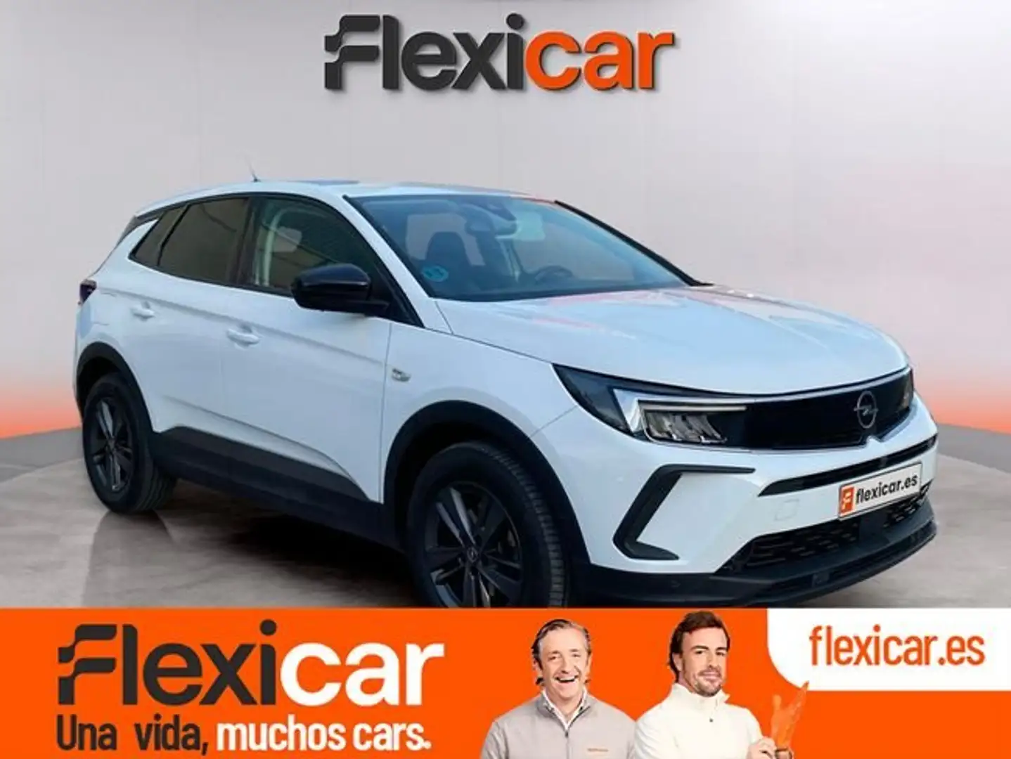 Opel Grandland X 1.5CDTi S&S Ultimate 130 Blanco - 1