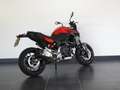 BMW F 900 R Rood - thumbnail 7