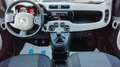 Fiat Panda Lounge Beige - thumbnail 13