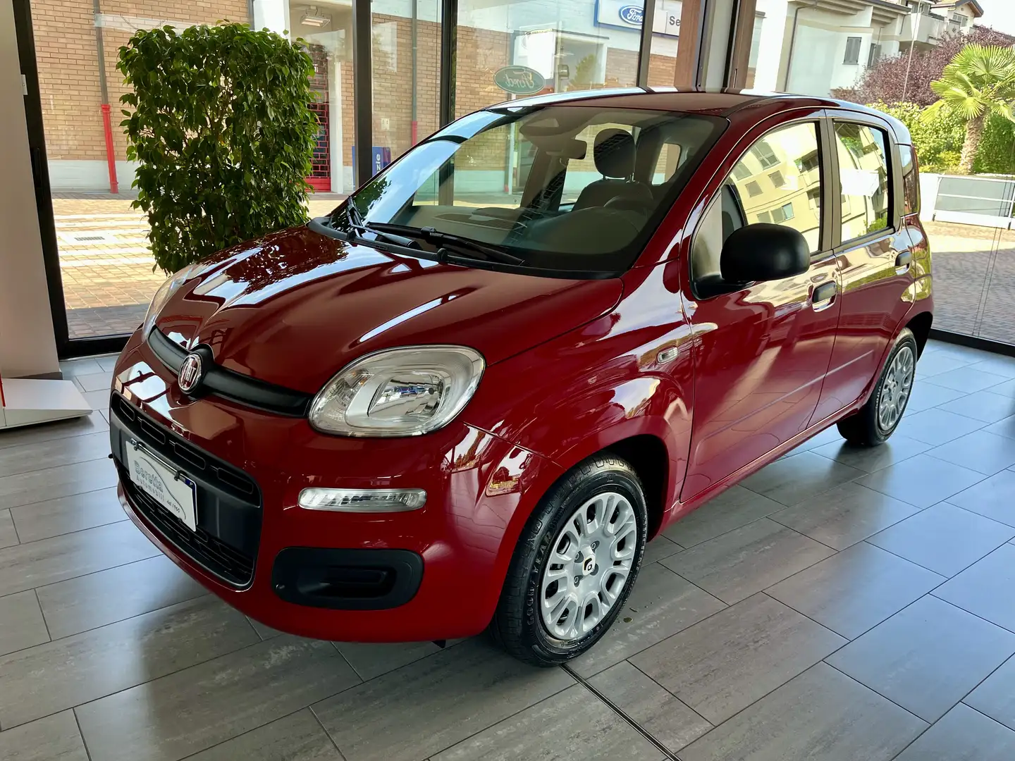 Fiat Panda 1.0 hybrid 70cv Rouge - 1