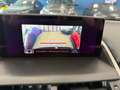 Lexus NX 300 NX I 2018 300h 2.5 F Sport 4wd cvt in garanzia uff Noir - thumbnail 11