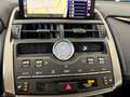 Lexus NX 300 NX I 2018 300h 2.5 F Sport 4wd cvt in garanzia uff Noir - thumbnail 12