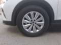 SEAT Arona Reference Edition 1.0 TSI Weiß - thumbnail 5