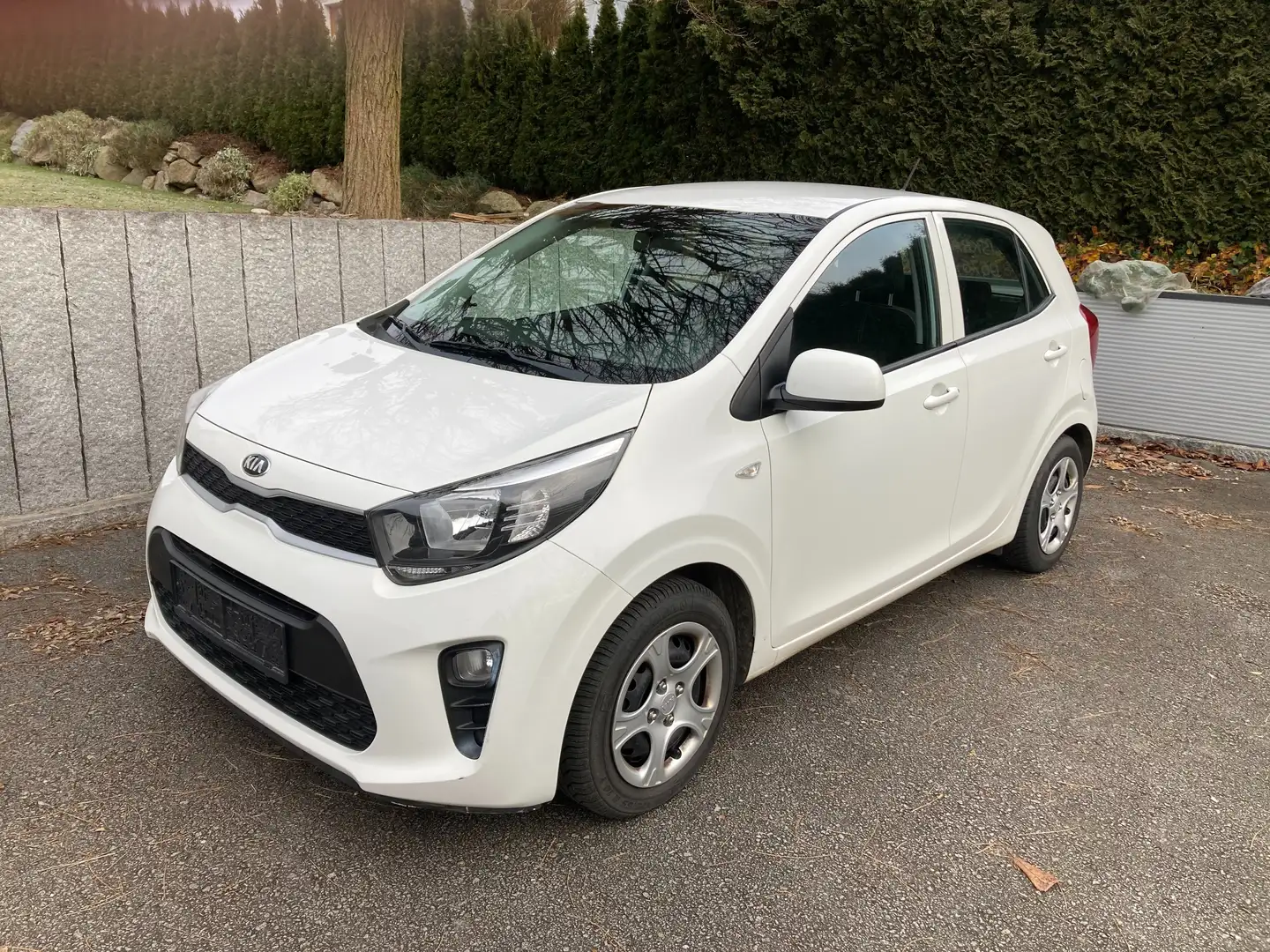 Kia Picanto Weiß - 1