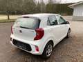 Kia Picanto Weiß - thumbnail 5