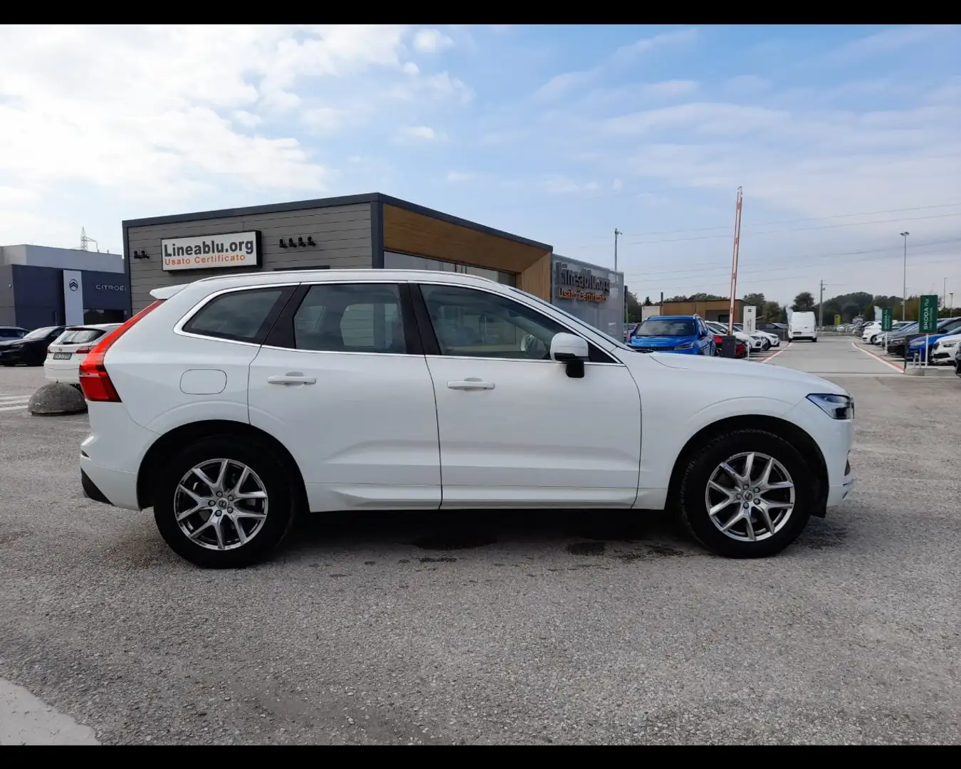 Volvo XC60 (2017--->) B4 (d) Geartronic Momentum Bianco - 2