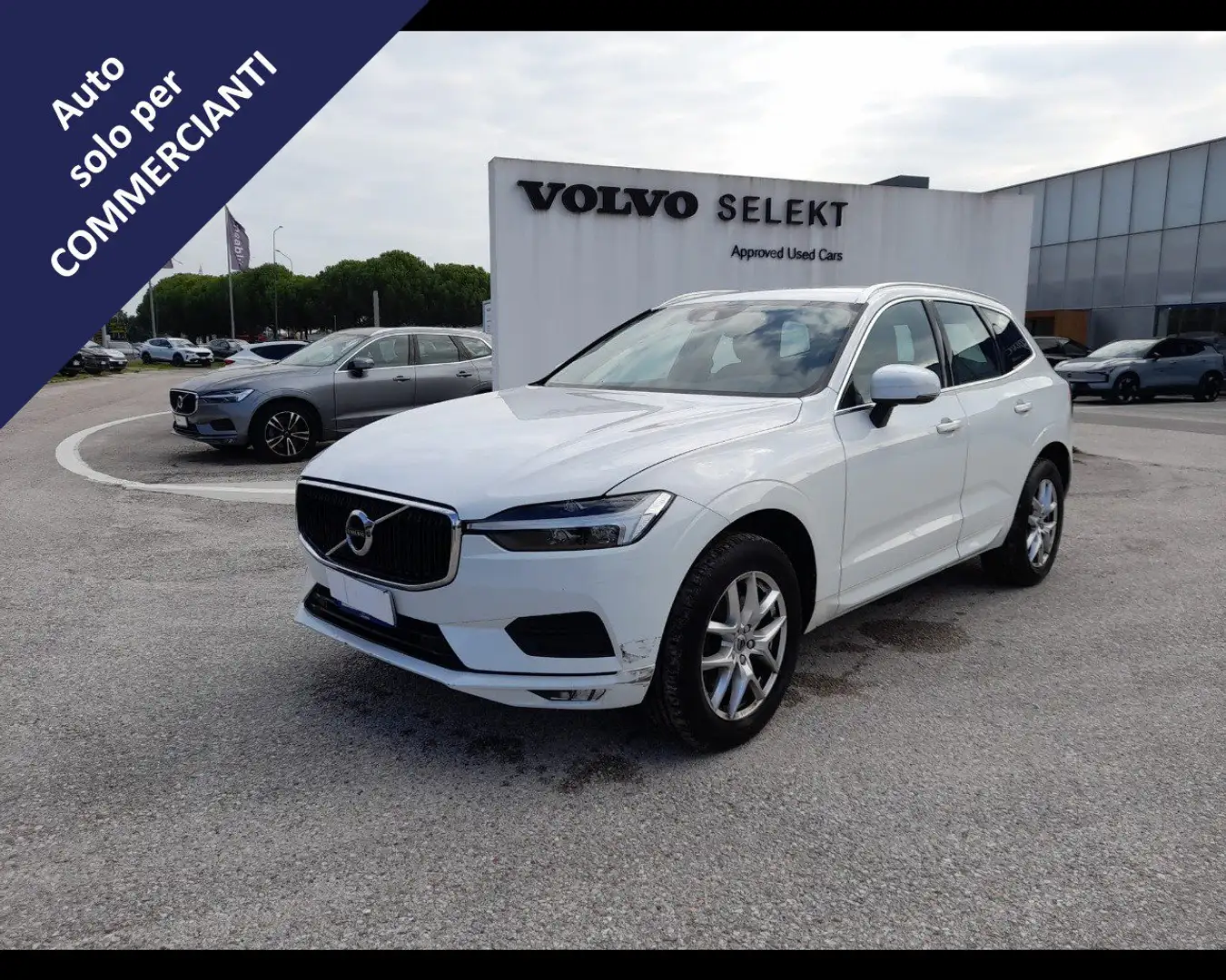 Volvo XC60 (2017--->) B4 (d) Geartronic Momentum Bianco - 1