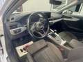 Audi A4 2.0TDI quattro-ultra S line edition 110kW Blanc - thumbnail 16