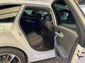 Audi A4 2.0TDI quattro-ultra S line edition 110kW Blanc - thumbnail 30