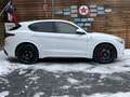 Alfa Romeo Stelvio Quadrifoglio Q4 AWD Carbon BREMBO CCM Weiß - thumbnail 15