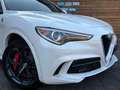 Alfa Romeo Stelvio Quadrifoglio Q4 AWD Carbon BREMBO CCM Weiß - thumbnail 4