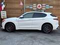 Alfa Romeo Stelvio Quadrifoglio Q4 AWD Carbon BREMBO CCM Weiß - thumbnail 9