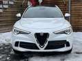 Alfa Romeo Stelvio Quadrifoglio Q4 AWD Carbon BREMBO CCM Weiß - thumbnail 4